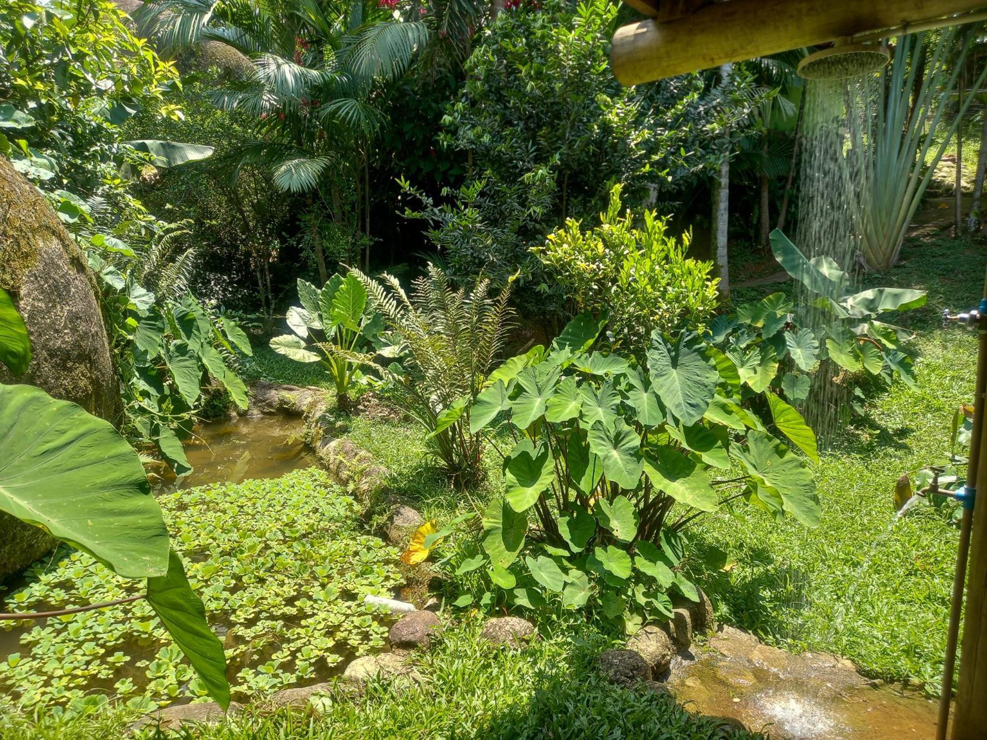 - Ubatumirim